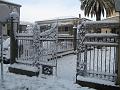 Neve (36)